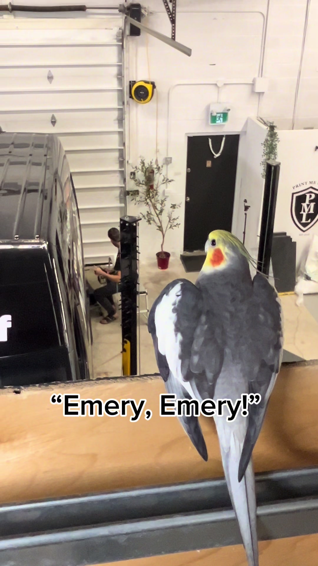 @Emery The Branch Manager