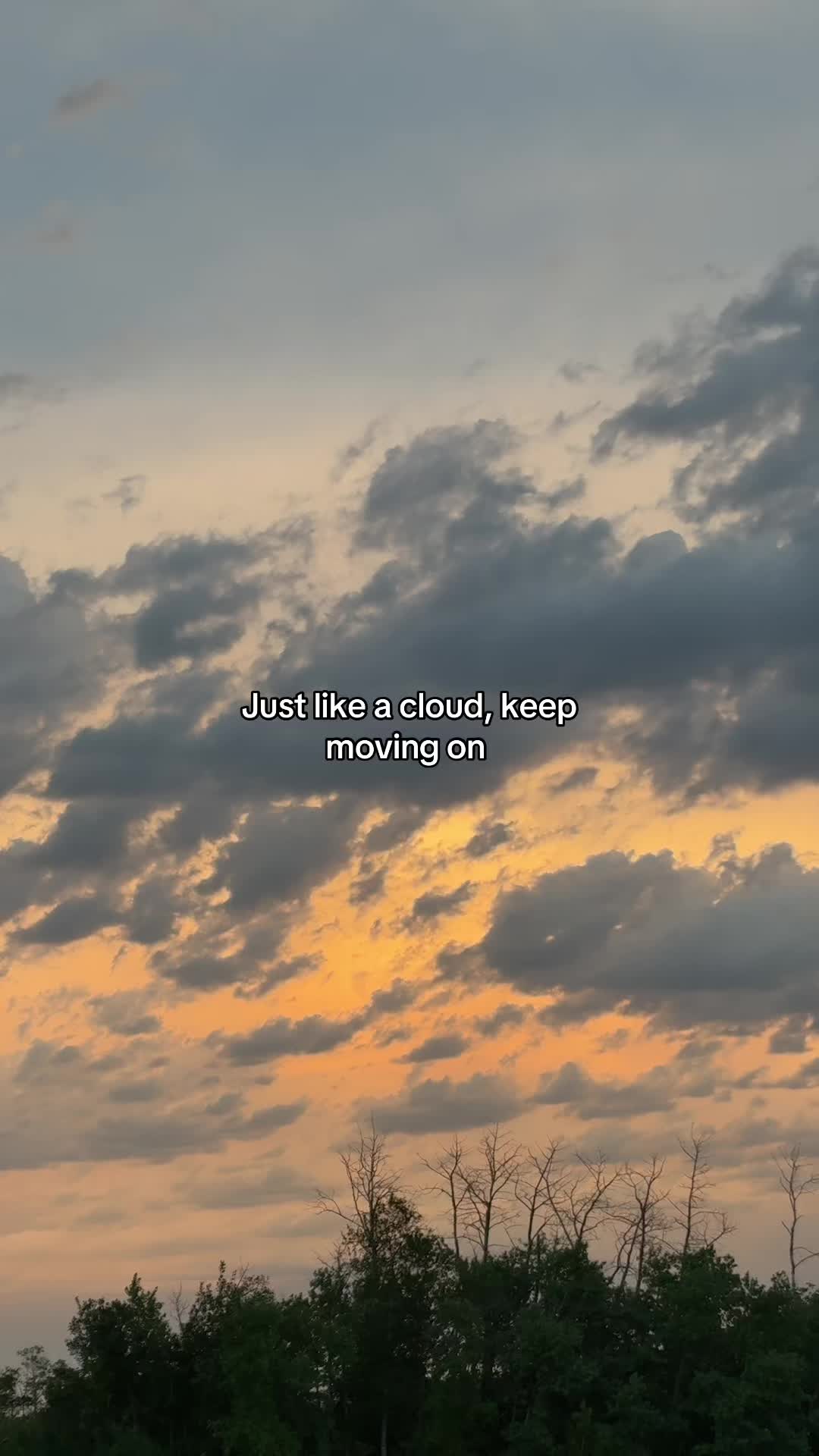 @𝓜𝓸𝓻𝓰𝓪𝓷 𝓦𝓮𝓫𝓮𝓻