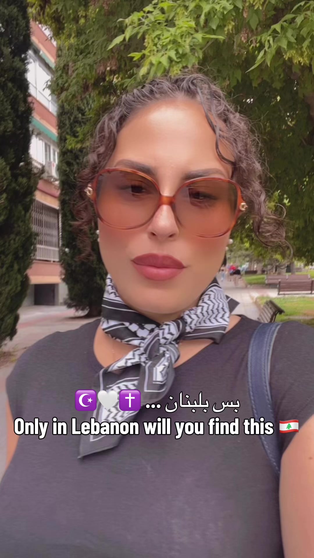 @TheLebaneseVoice