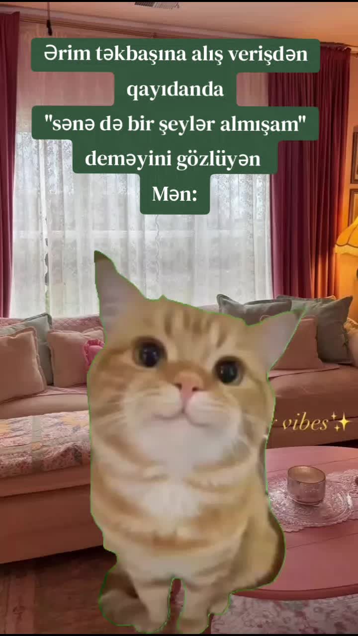@ArzuMMooD♑
