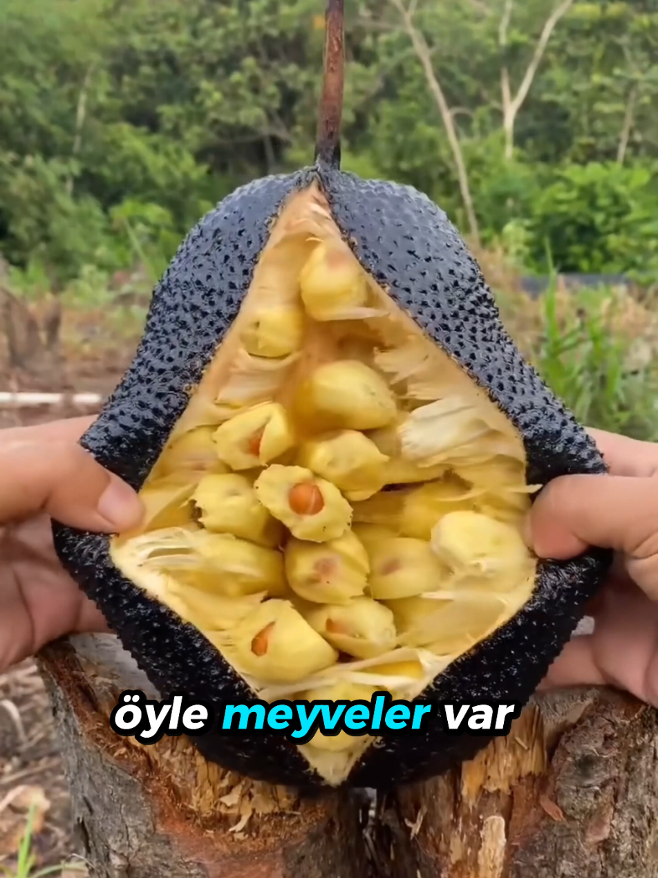 @beynegrafya