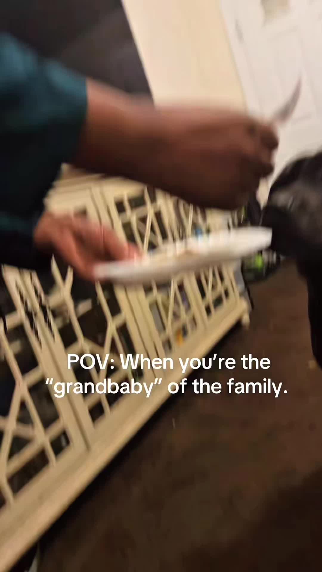 @funnyvideo3782