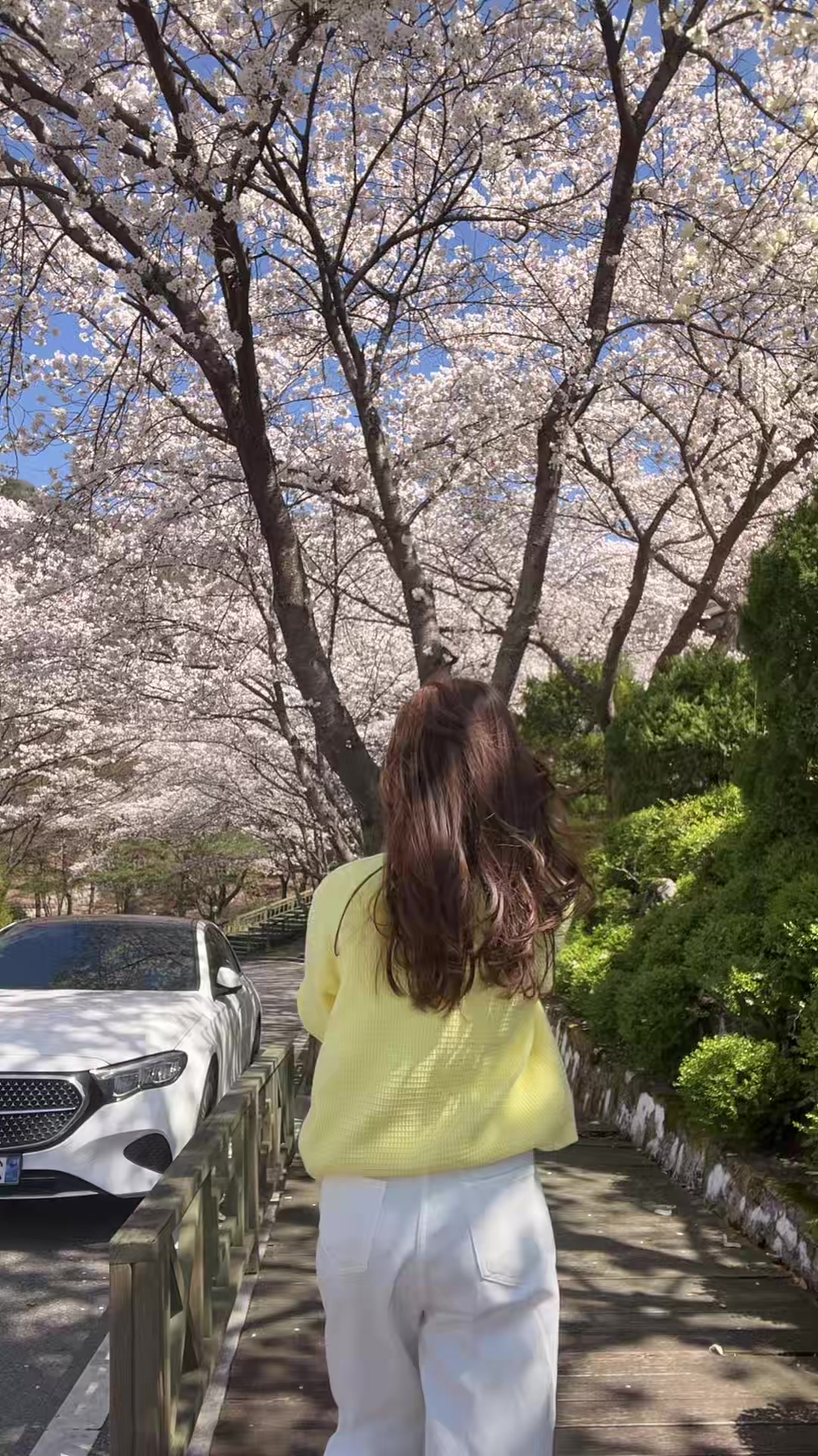 @🌸