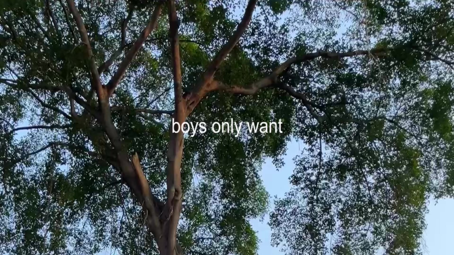 @bilsim_09