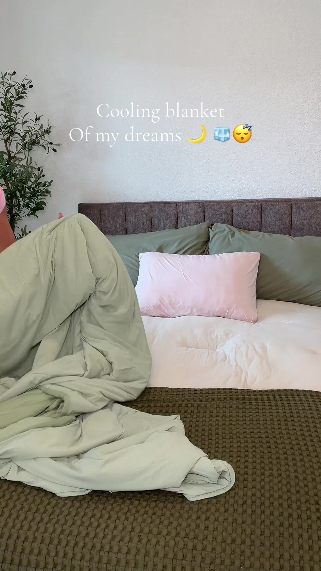 @katiewiekamp