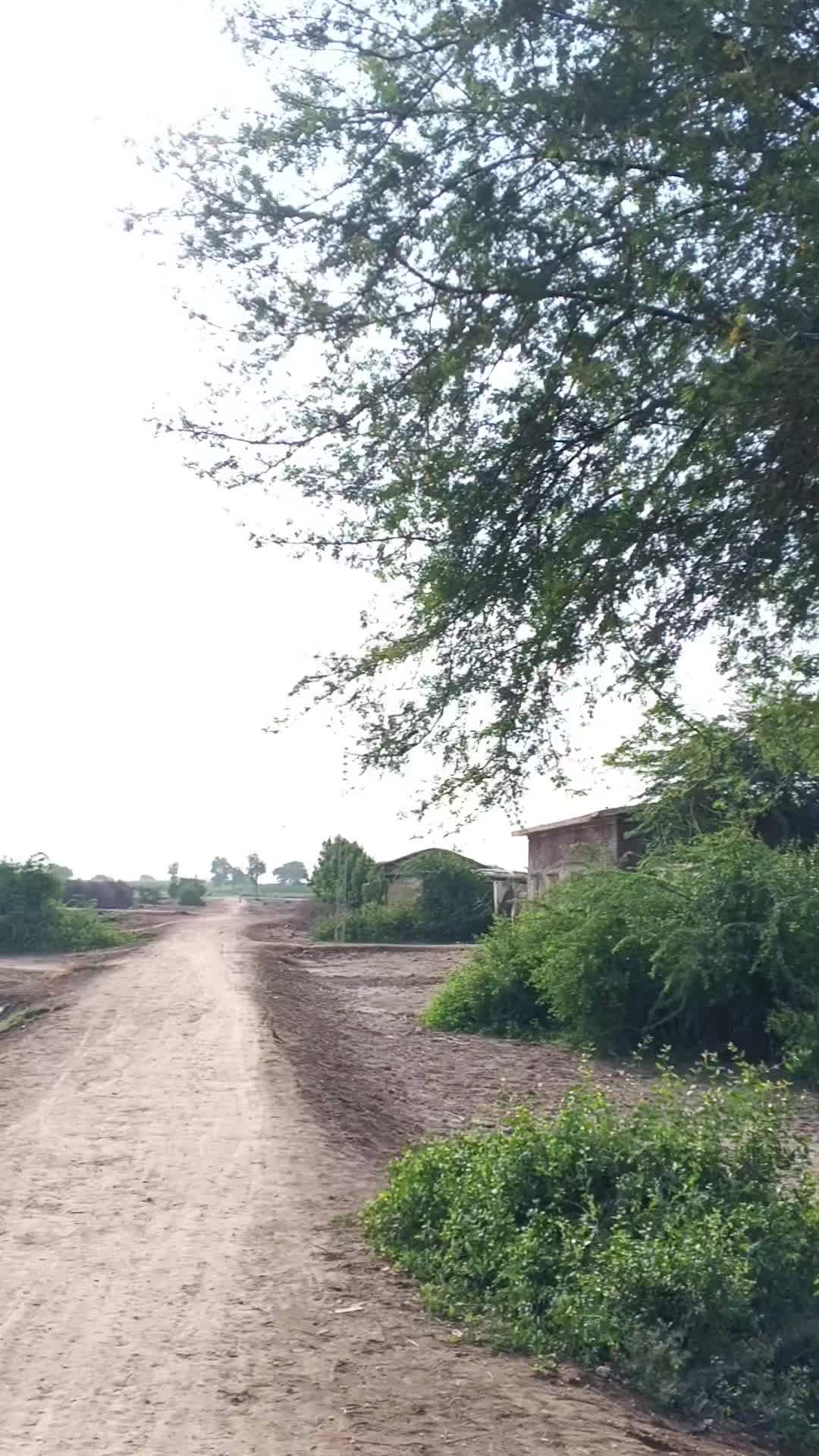 @Mukesh kumar kolhi