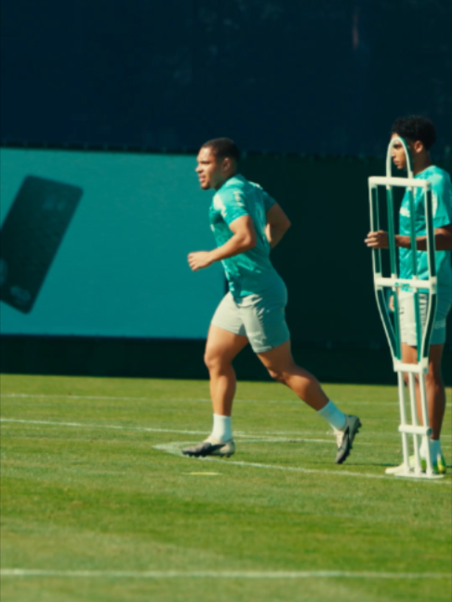 @SE Palmeiras