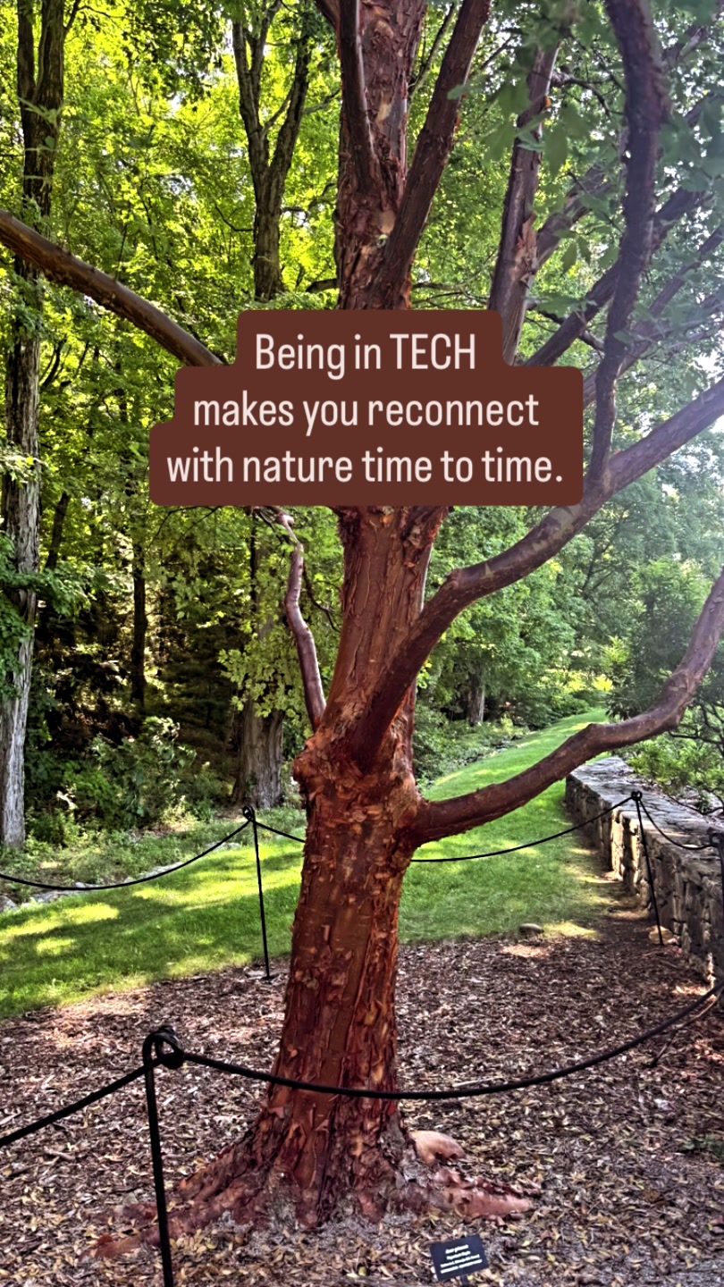 @Techteaspill