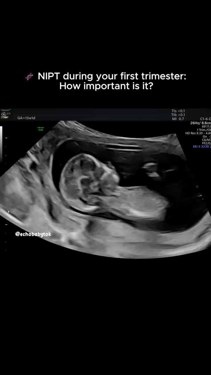 @Echobaby