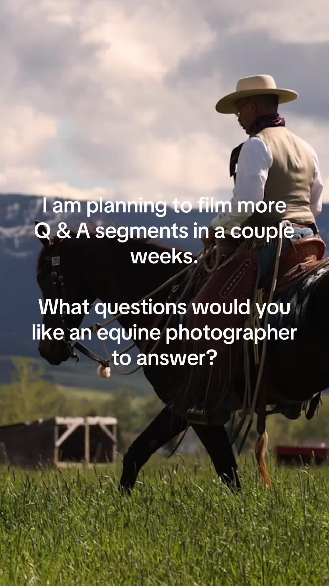 @Aubray | Equine Photographer