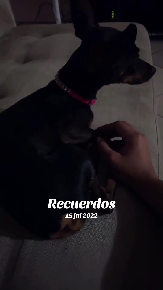 @maruedu00