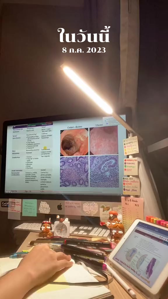 @MFstudy