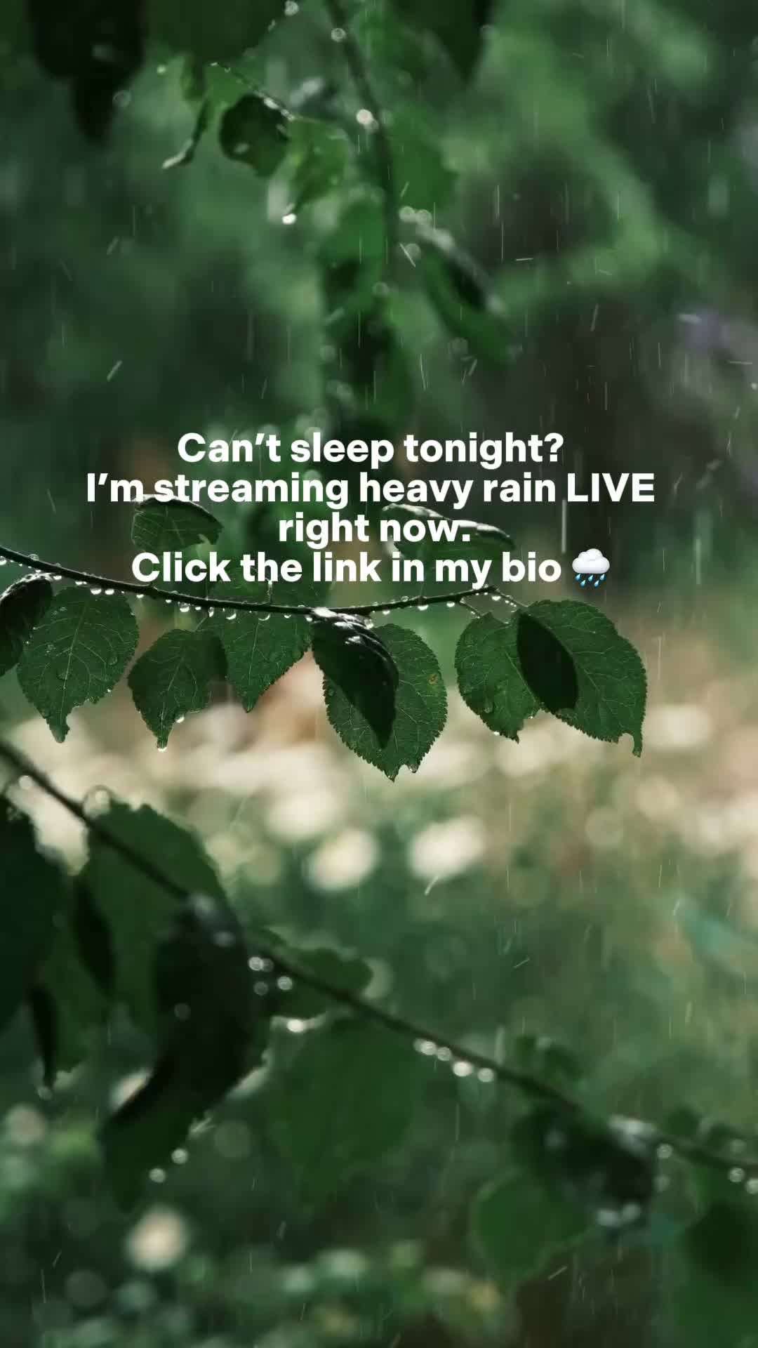 @rainsignal247