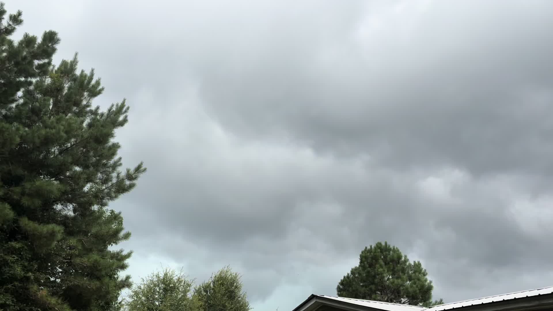 @11🌬️A&rsquo;Krab🌈33