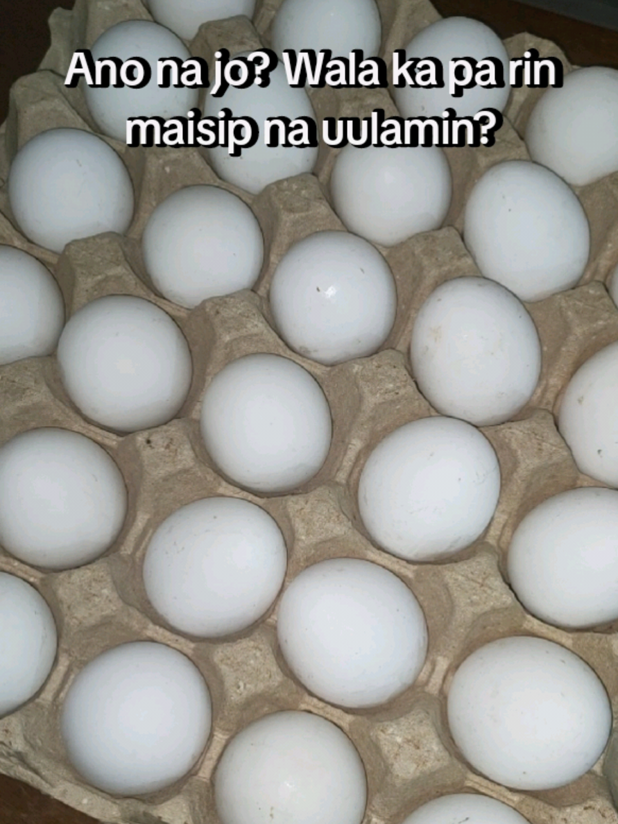 @Jocelyn