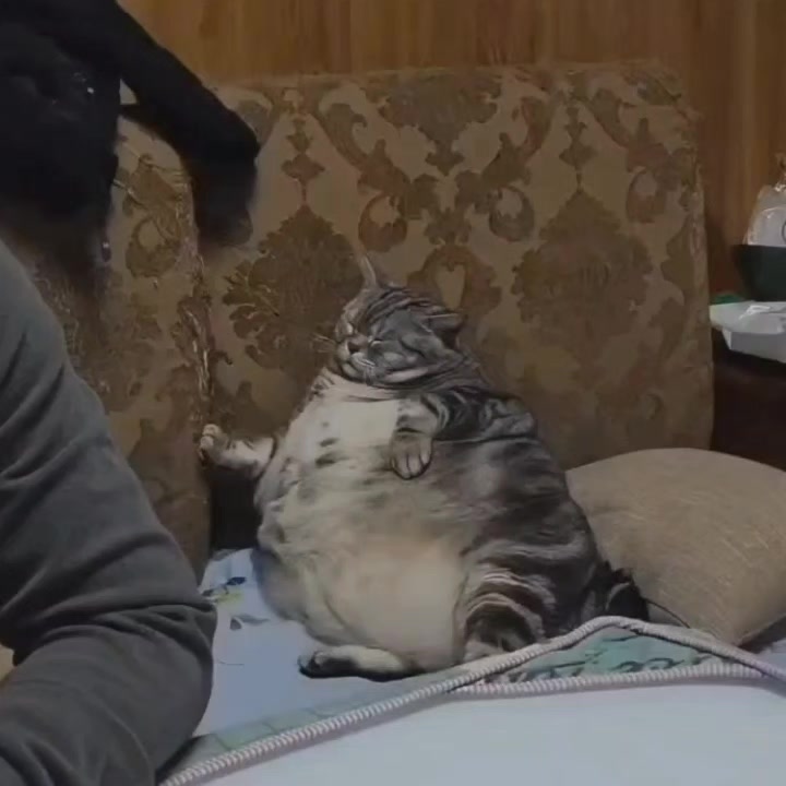 @goodvibessxd