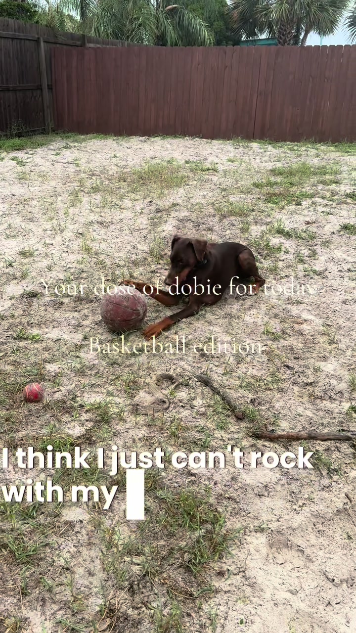 @🪩kp🪩