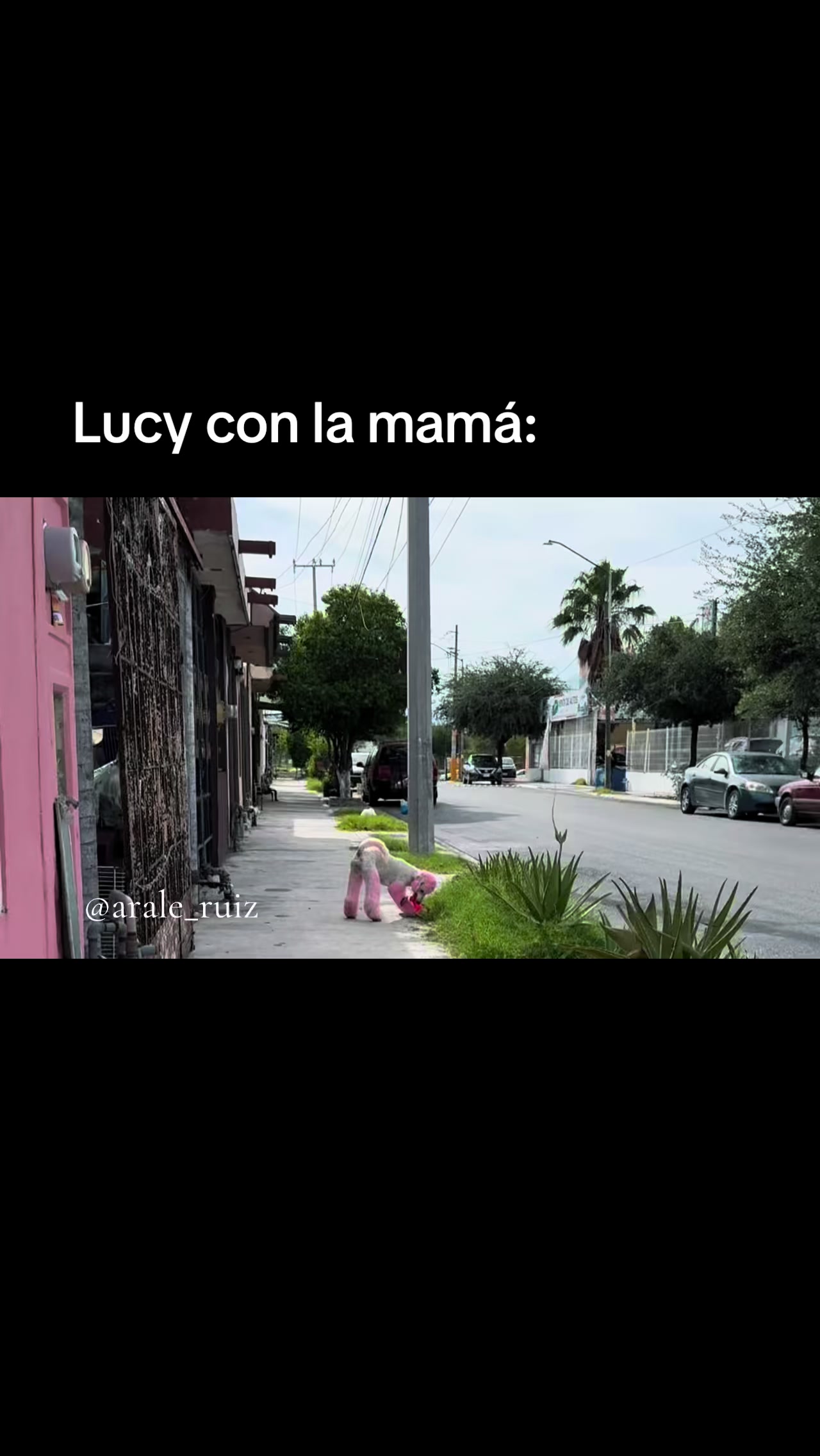 @Arale Ruiz