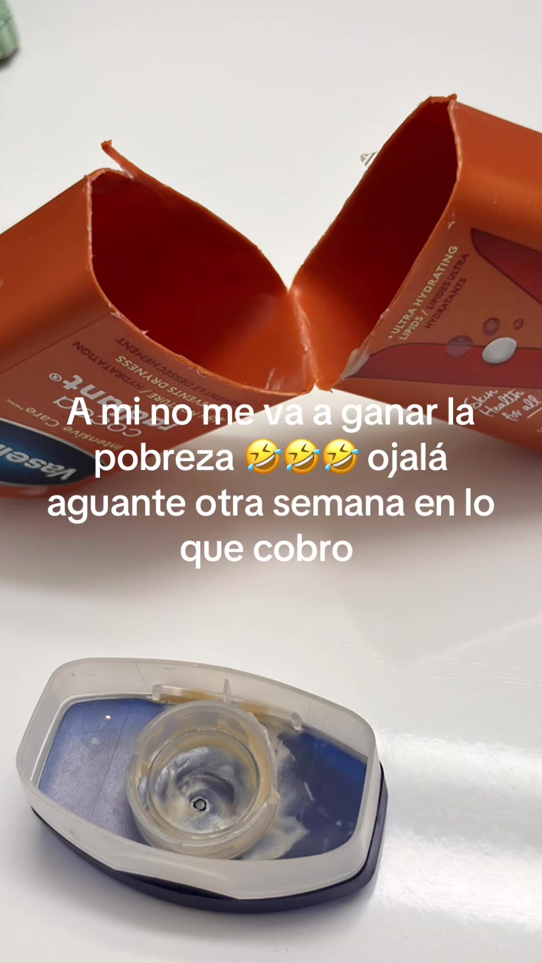 @Cristobal lince