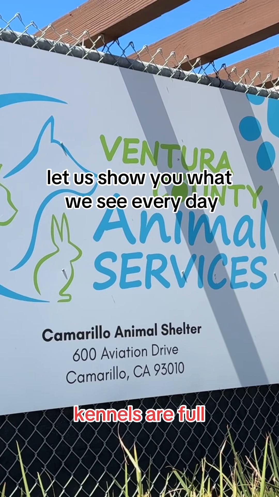 @Ventura County Animal Services