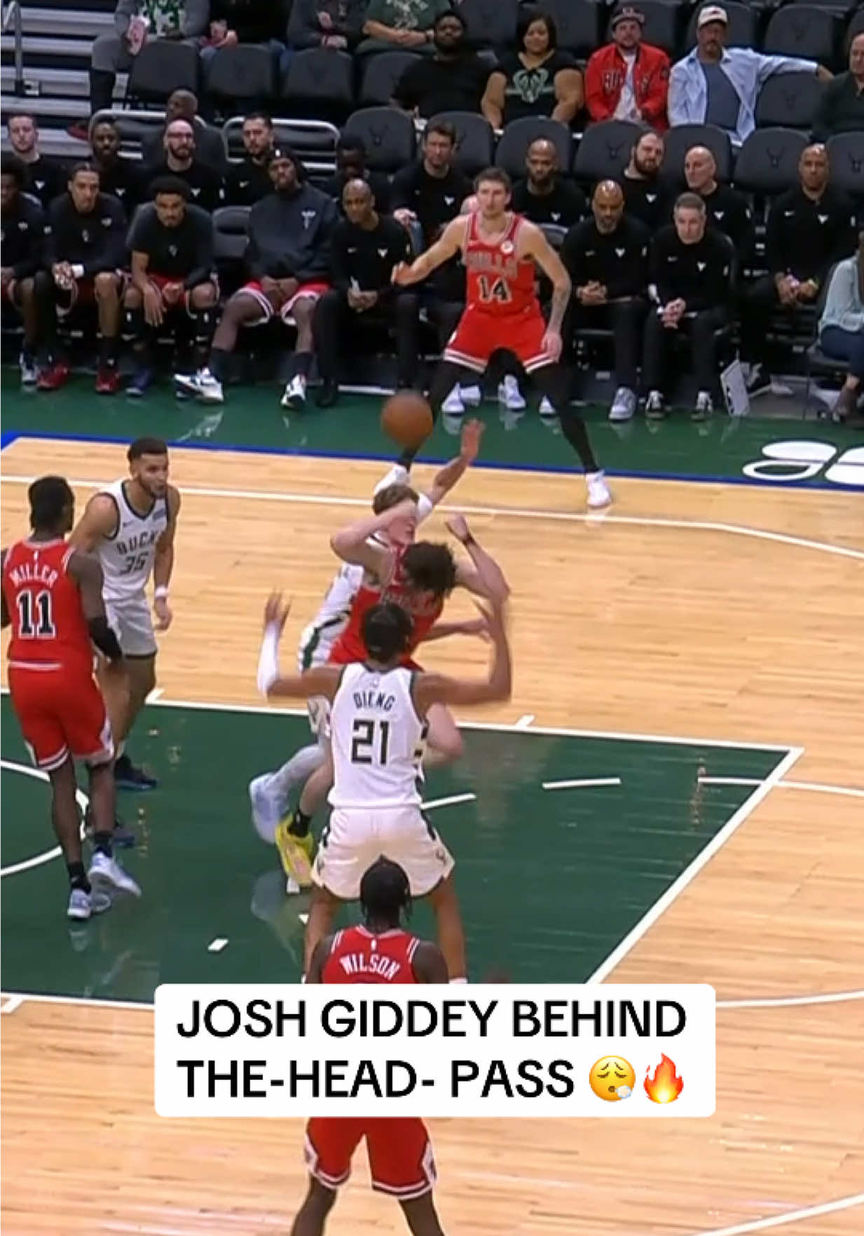 @Chicago Bulls