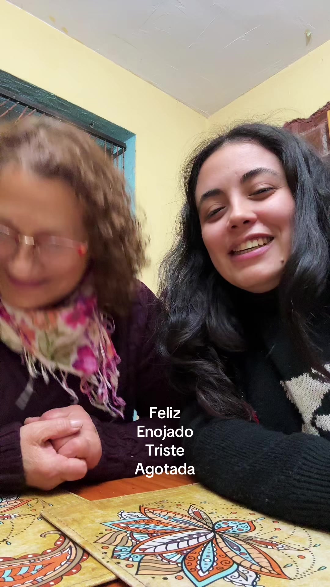 @shevah.cl
