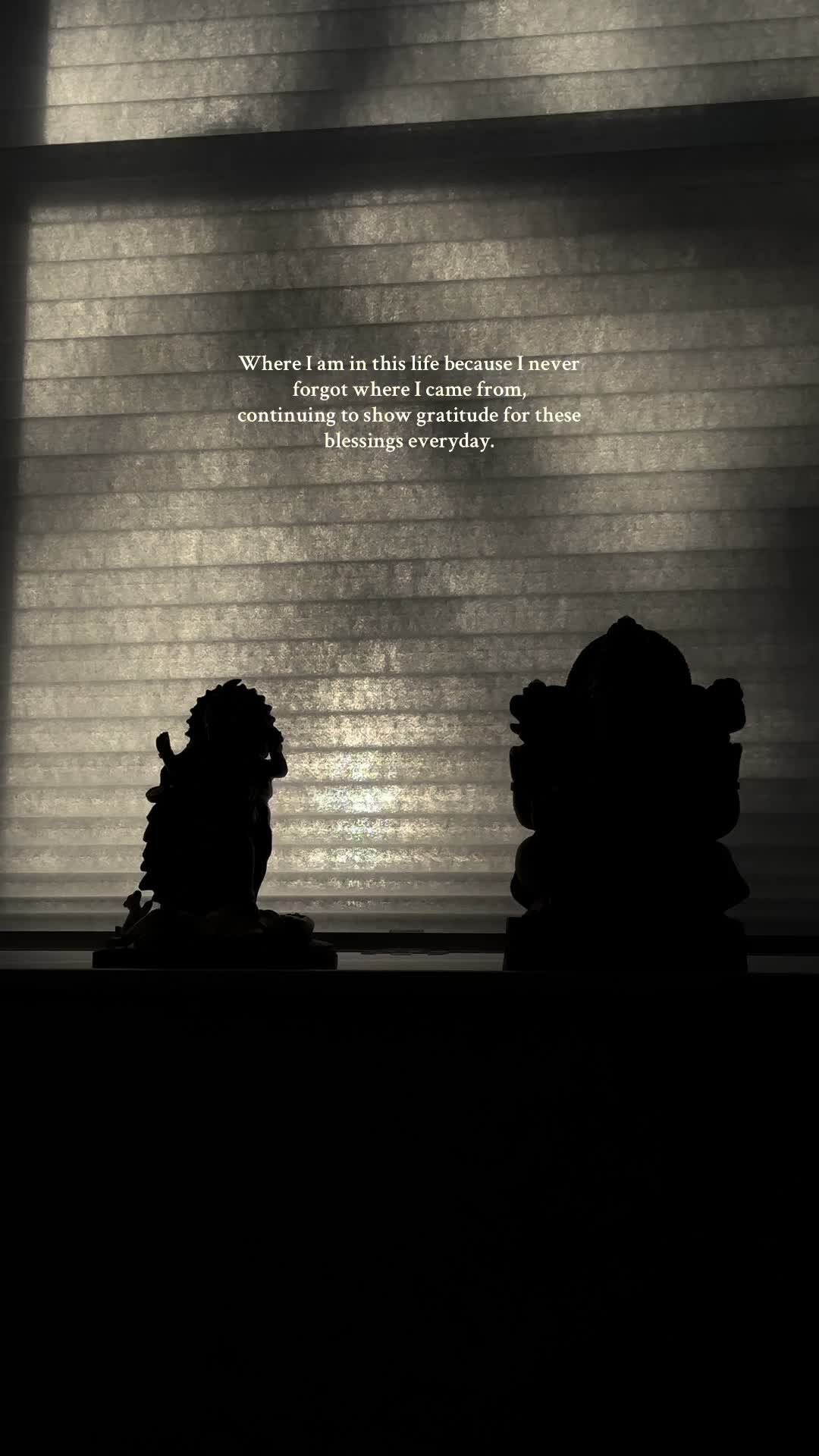 @navinamisir