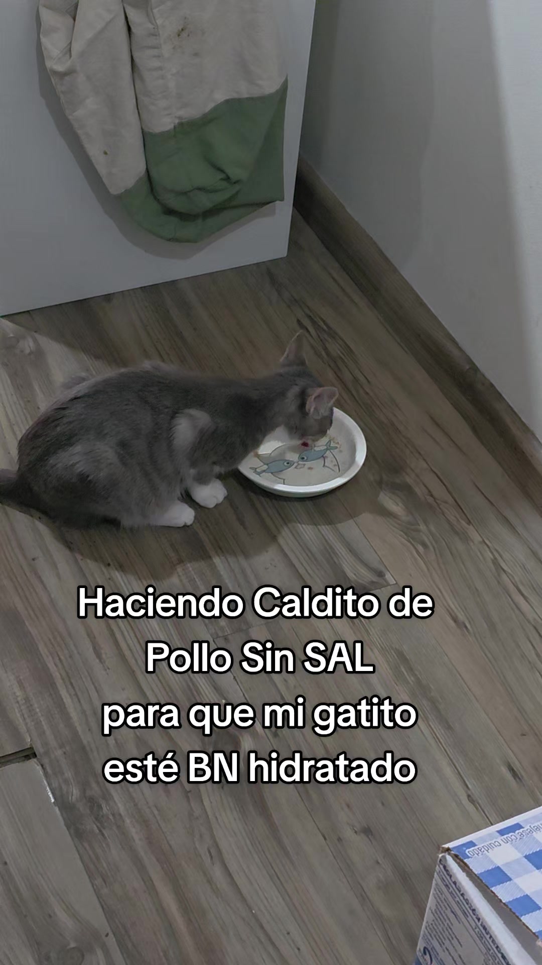 @megara_