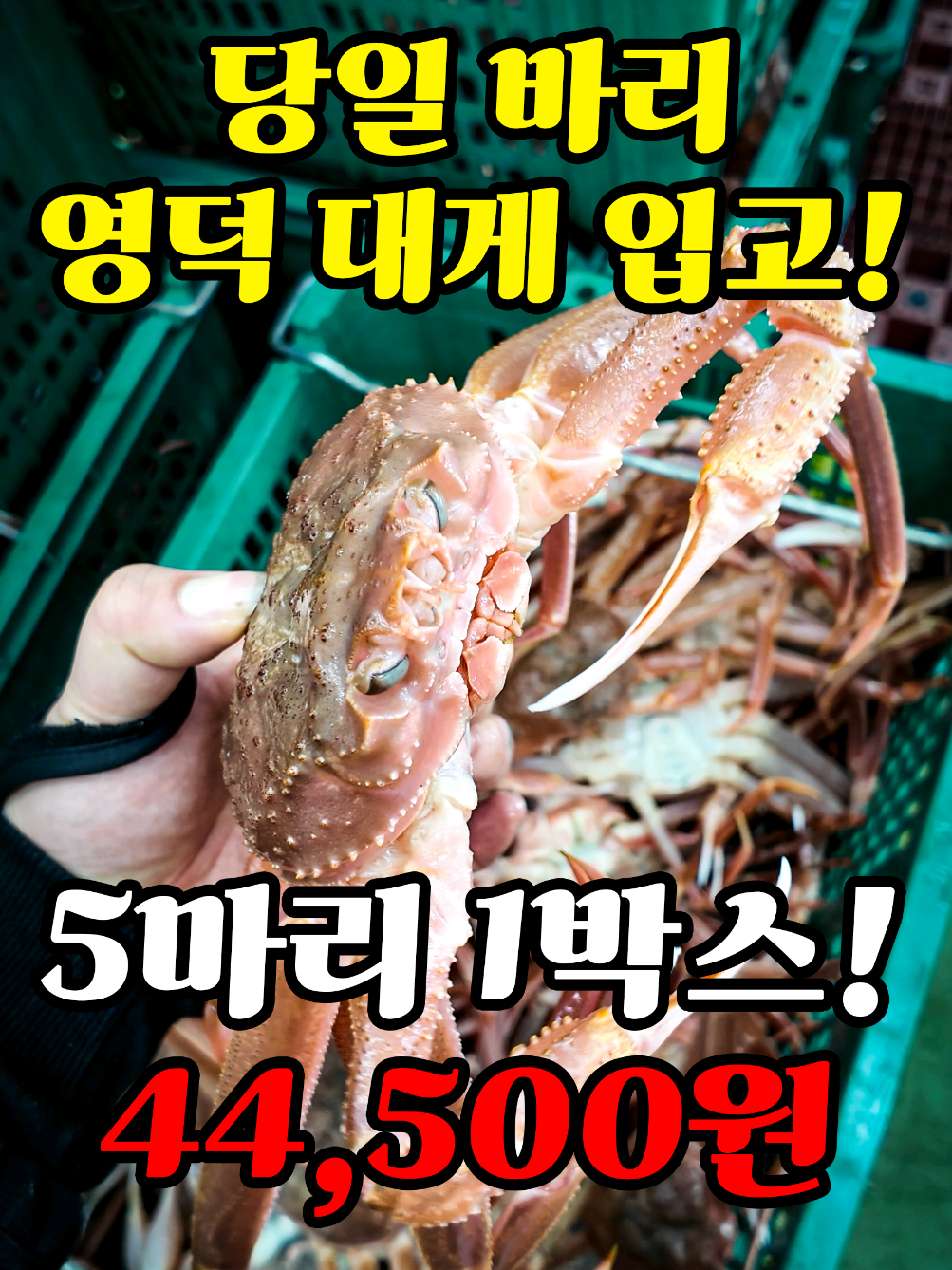 @어부와농부