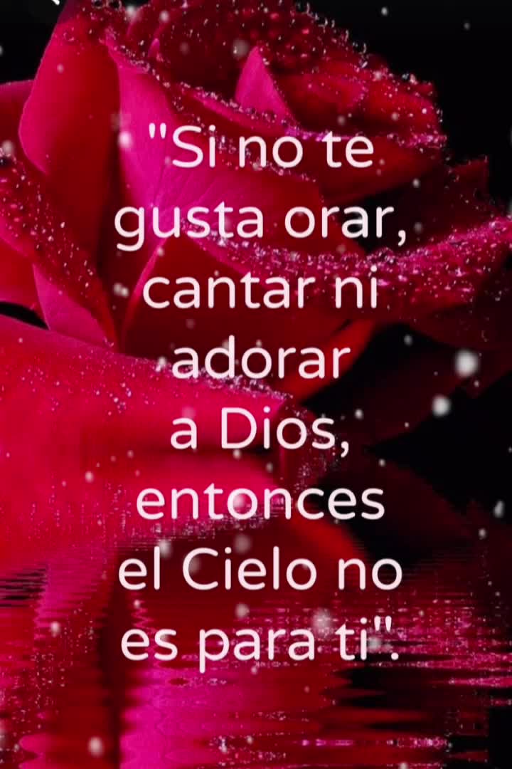 @mayra gracia❤️❤️