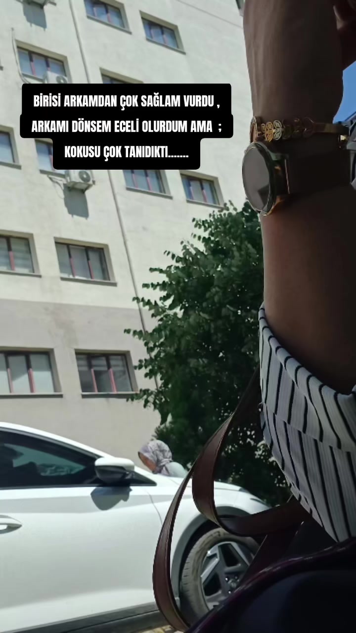 @zesegu38