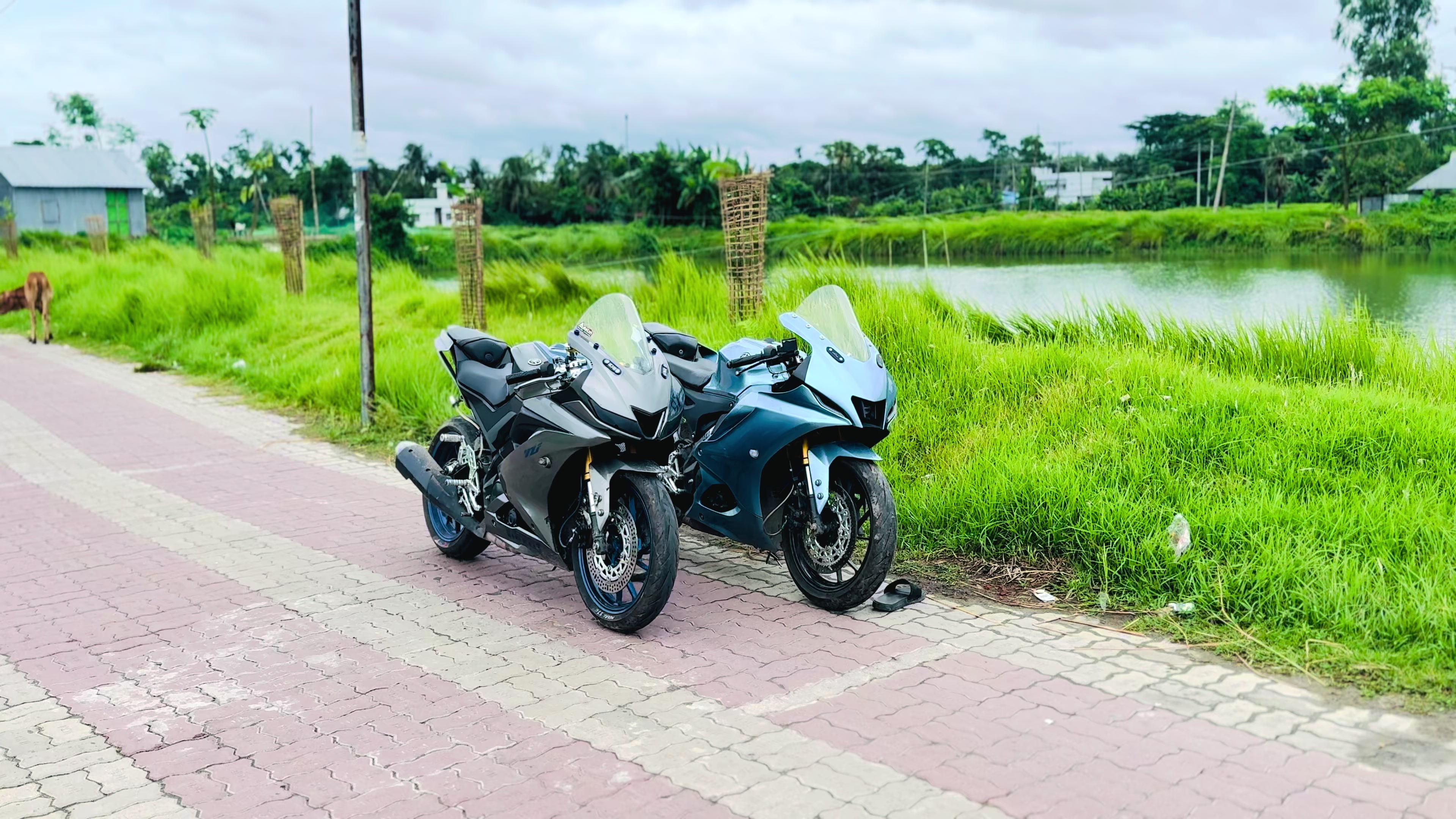 @sai._mon__