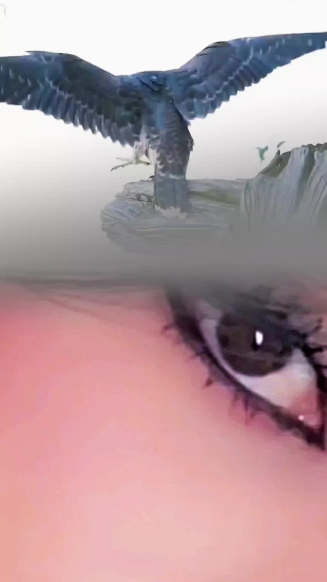 @🇸🇦هبو🇸🇦