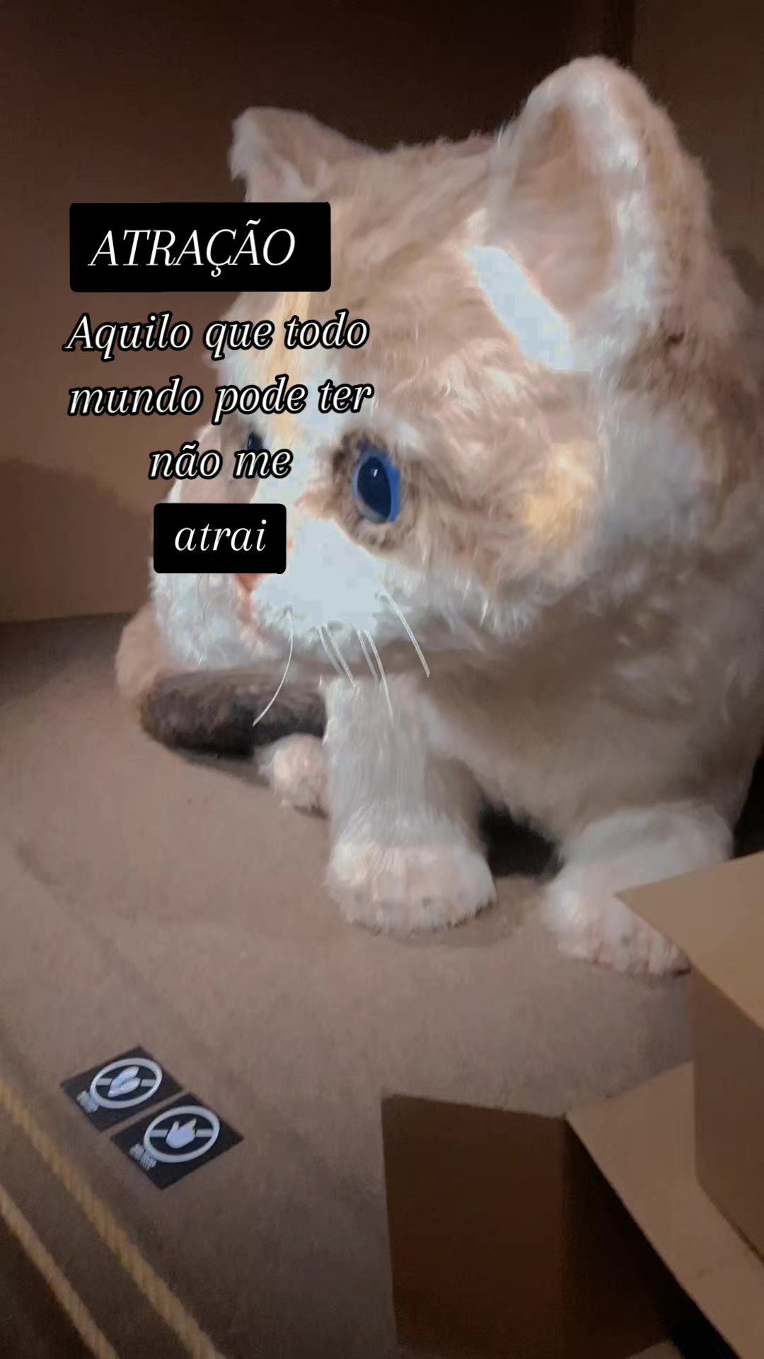 @Andreia Nogueira