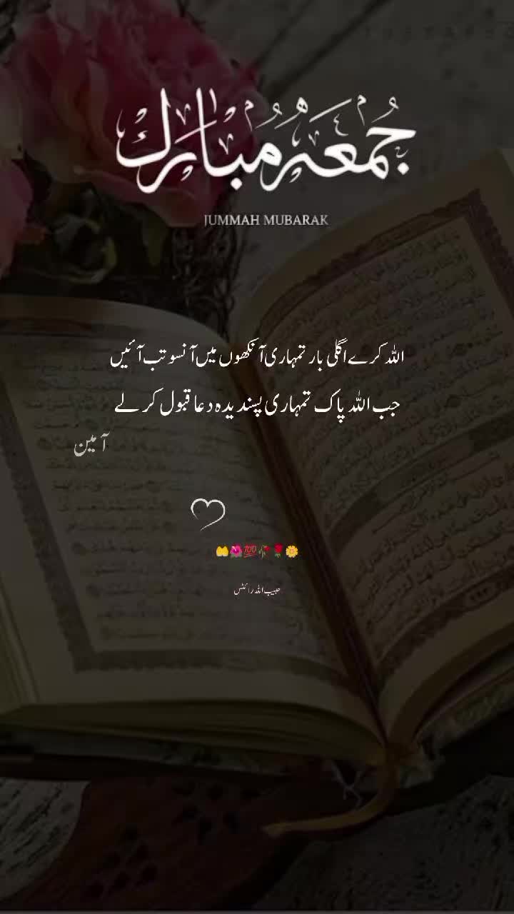 @حبیب اللہ ✍️