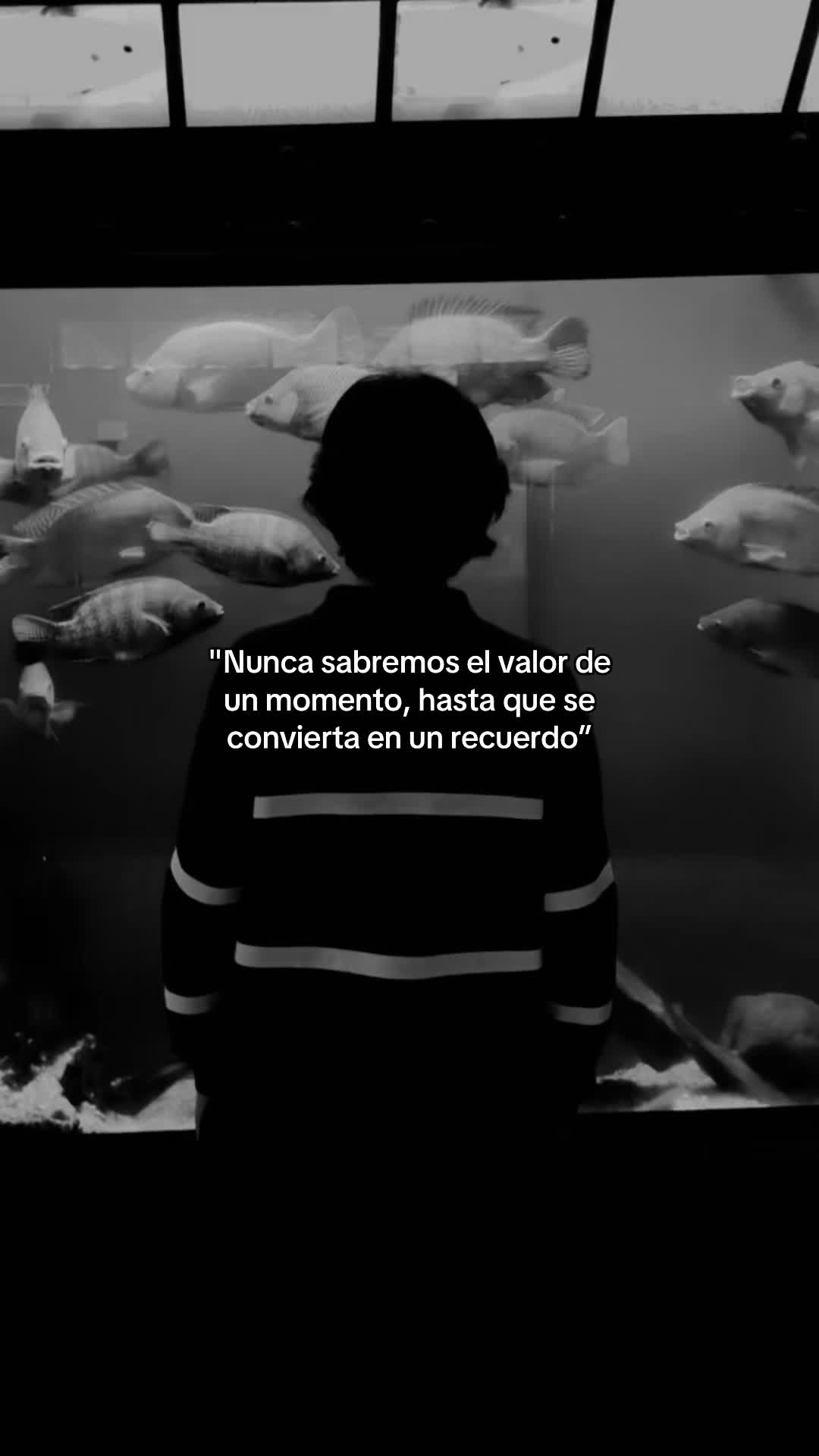 @rqv_fx