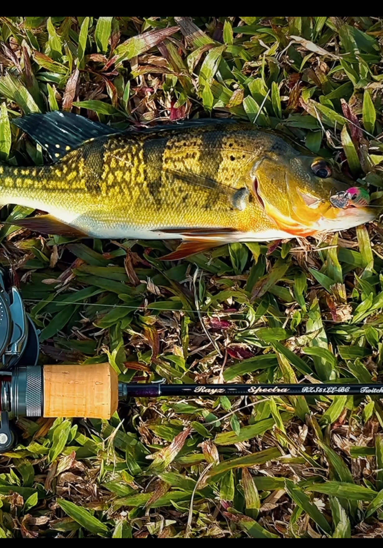 @I Fish, I Shoot, I Post.