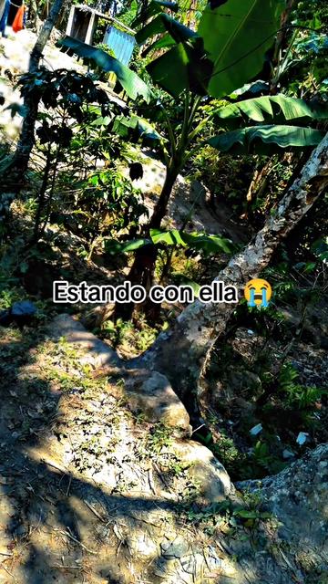 @Tu🥺Flako🥺504🇭🇳