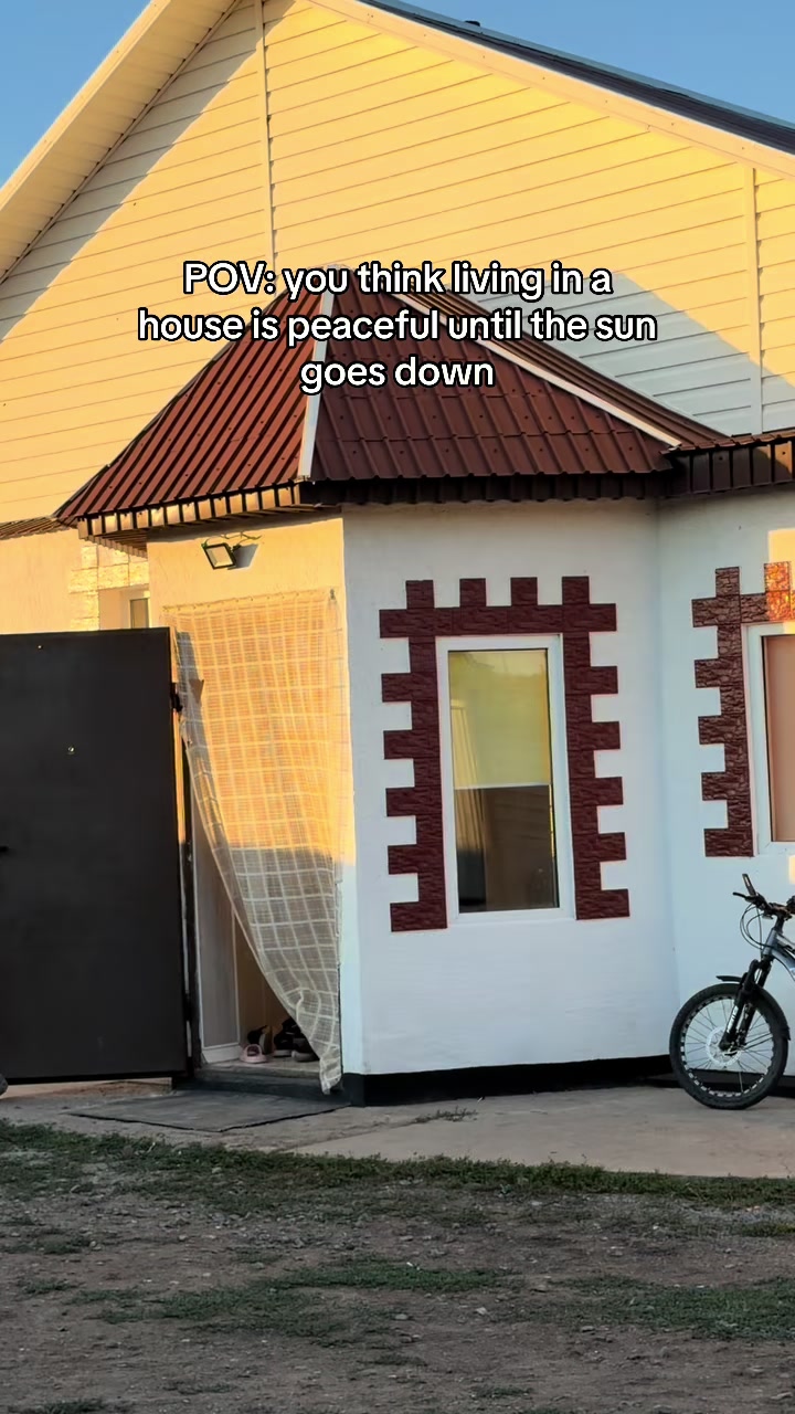 @тгк: дани боверз