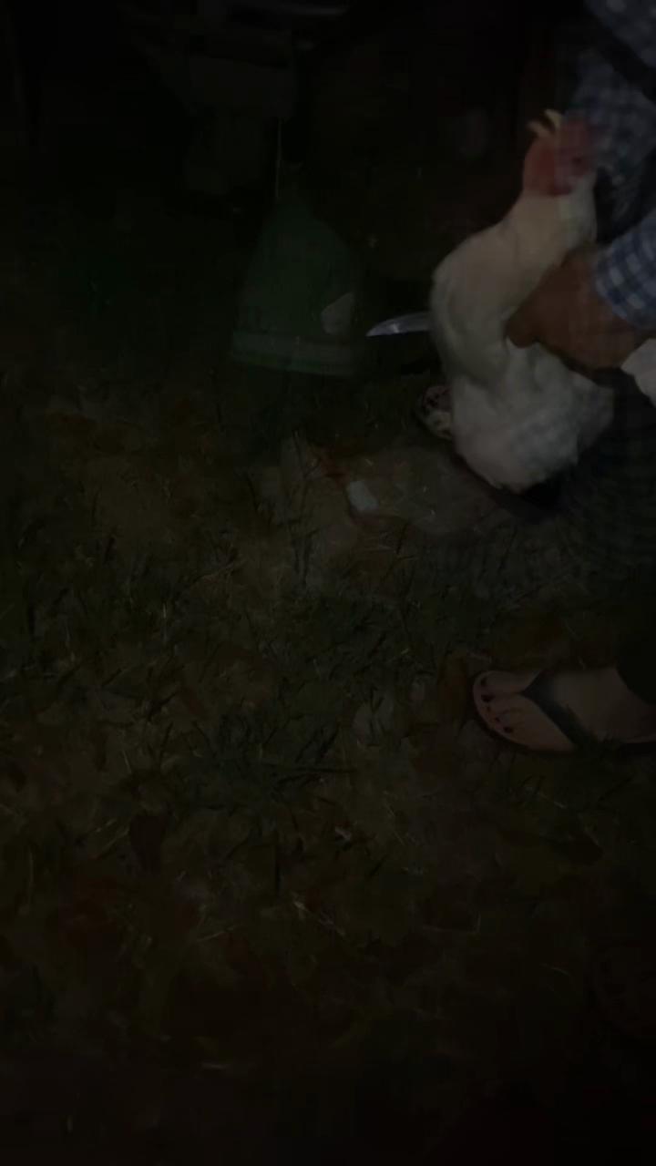 @selayna55.55