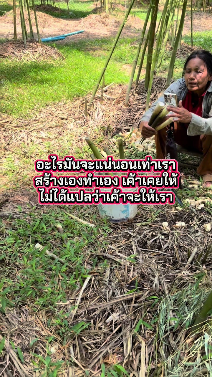 @นัดดาชอป