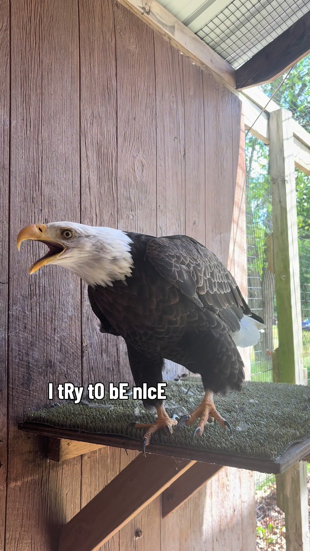 @HowellNatureCenter