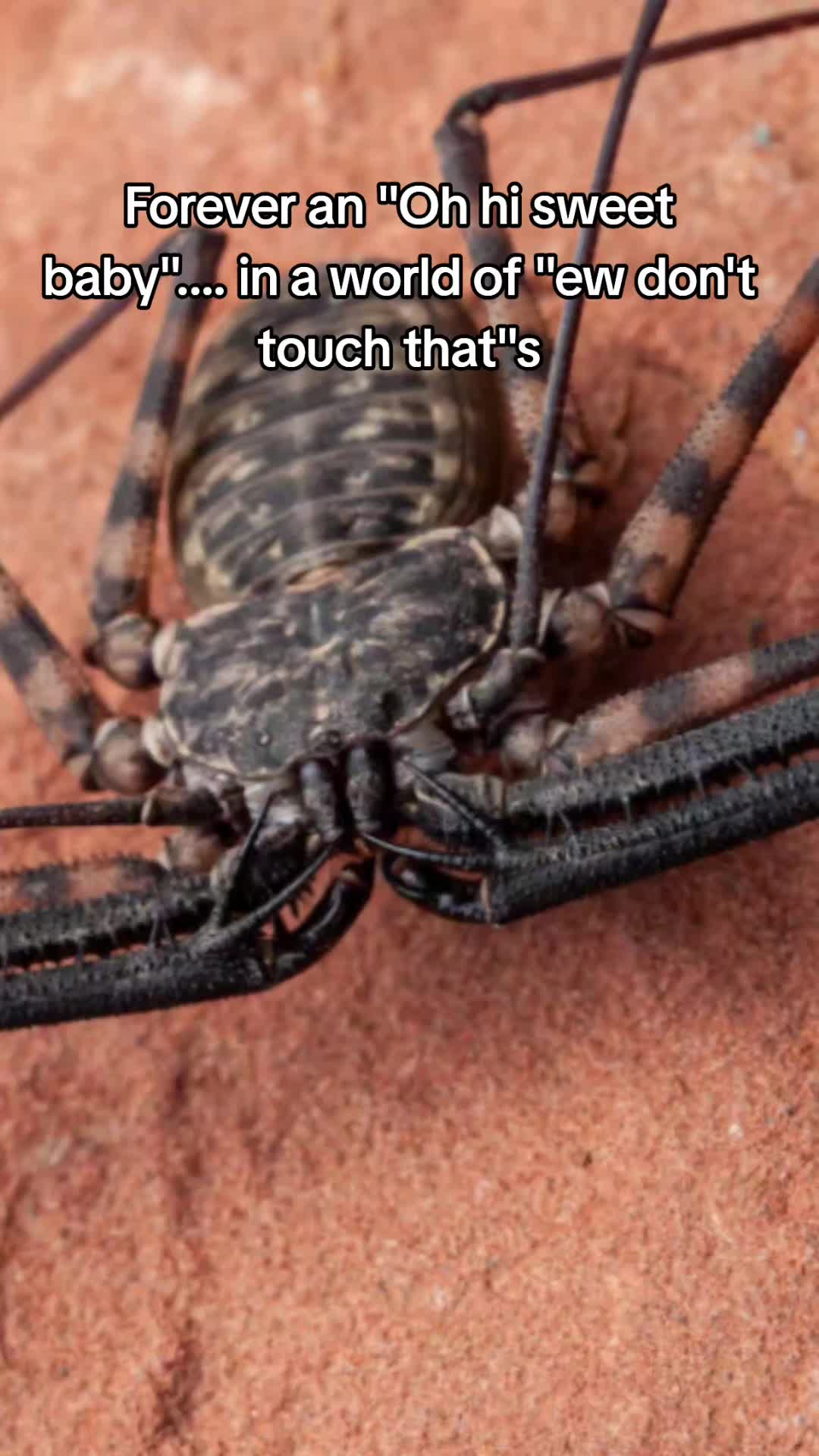 @Sav