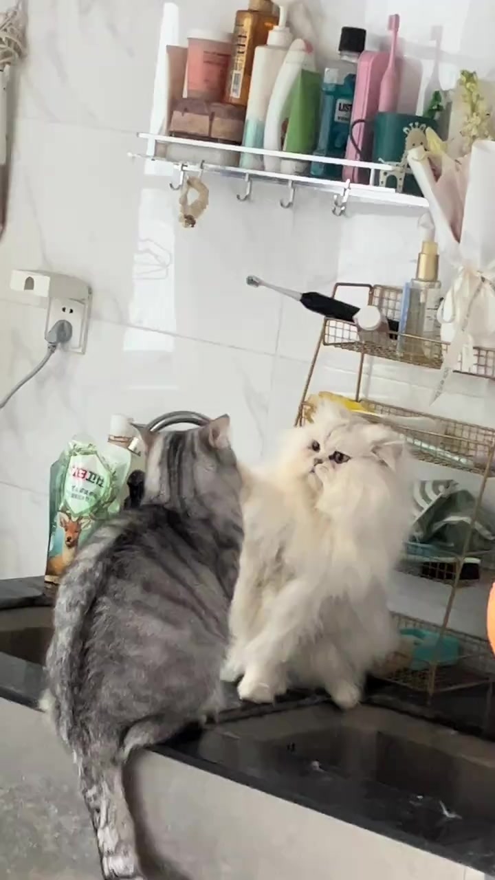 @trạm cute