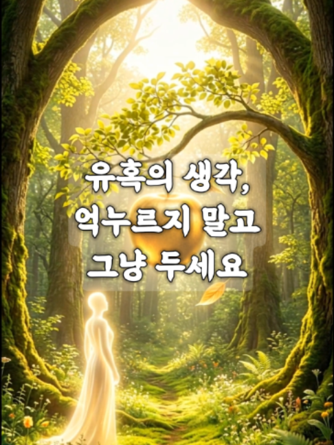 @빛의 씨앗