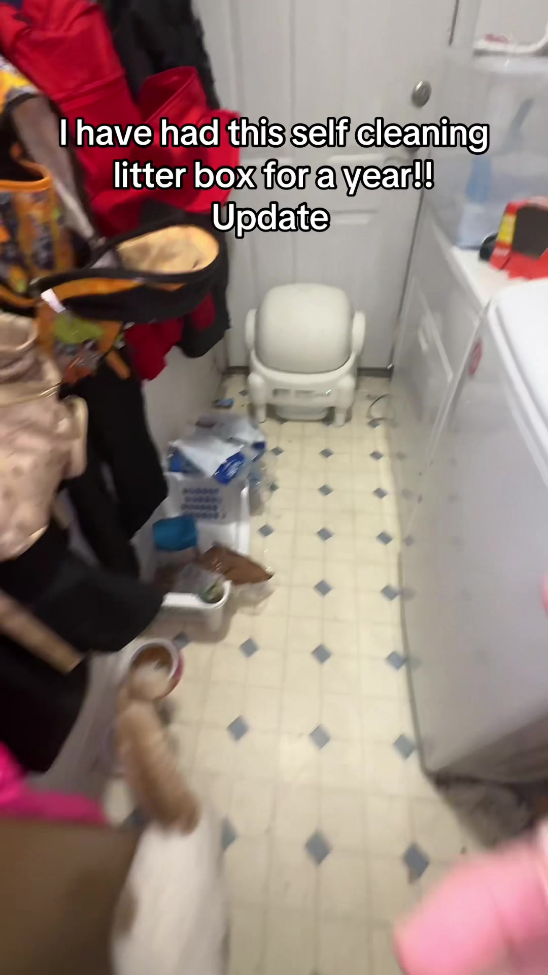 @Jacob[TTS]Pepaw