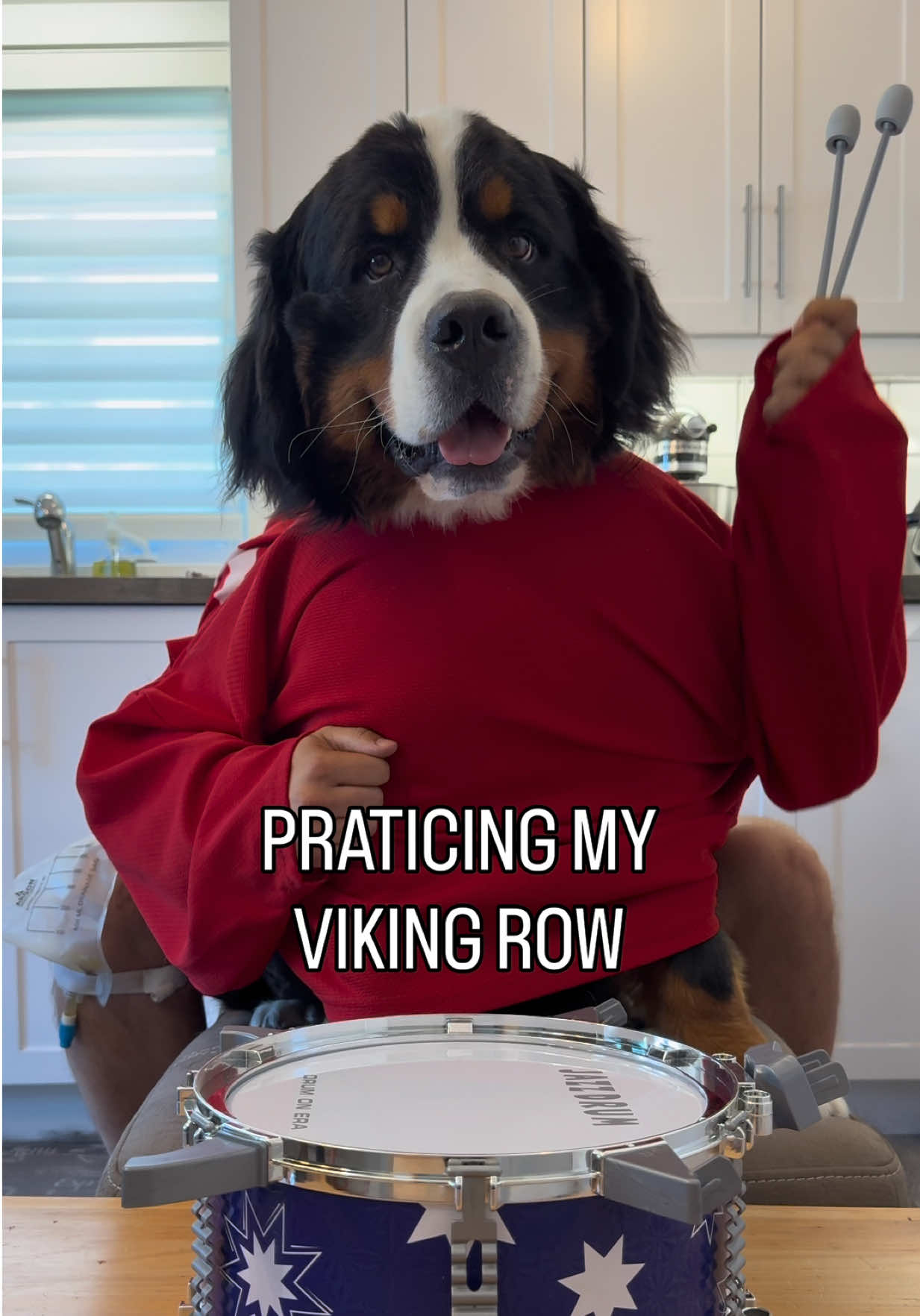 @Woody The Bernese