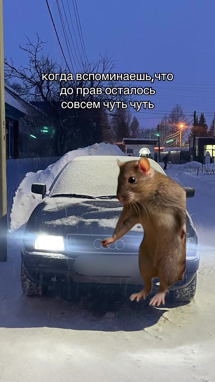 @alba_1010