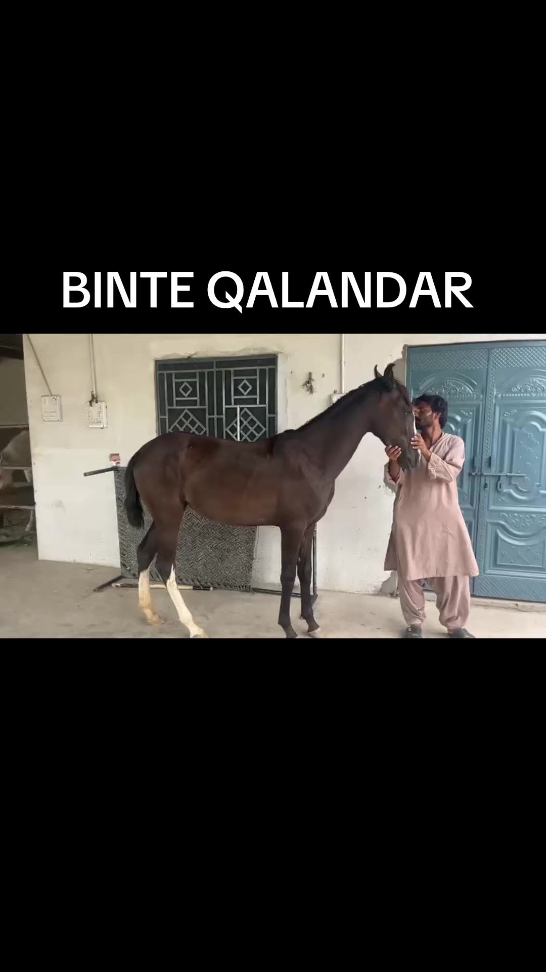@Farasat Ali Ranjha Awan