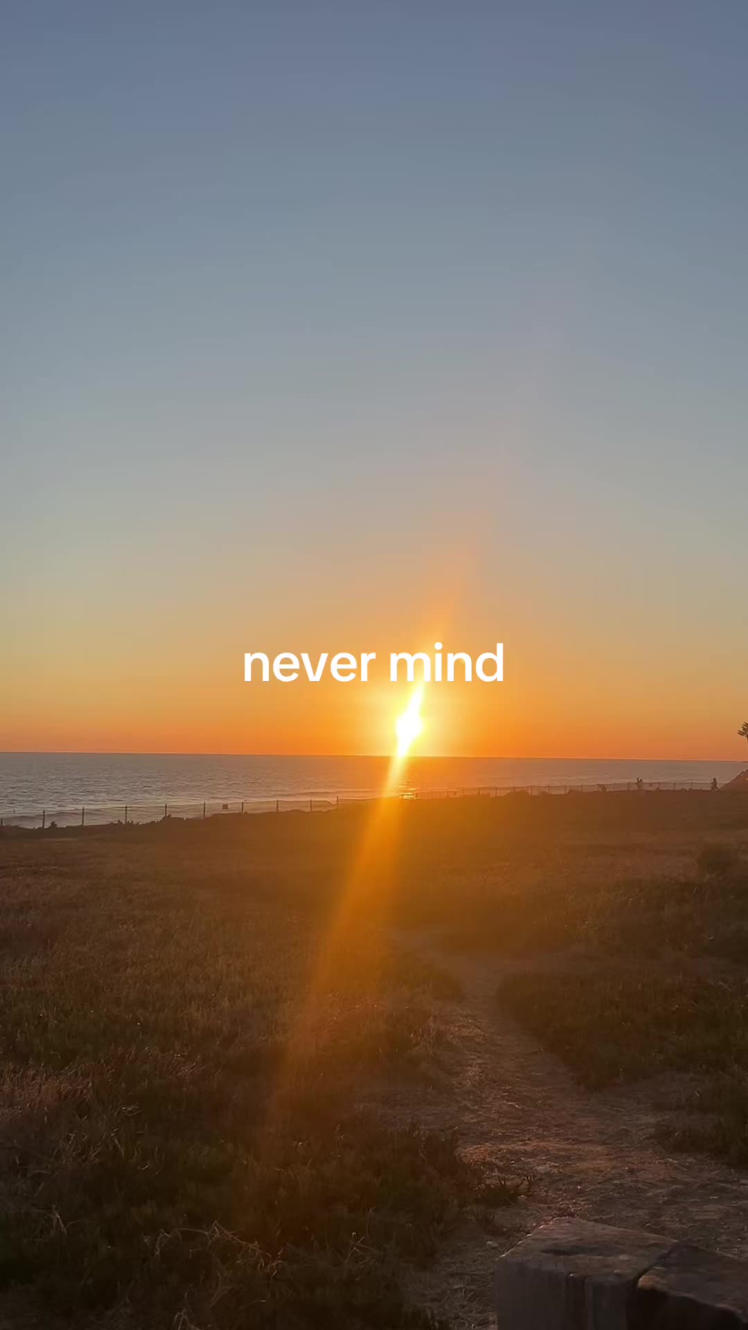 @⭑ 🪽